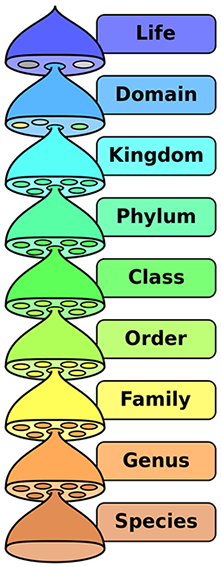 Biology - © General Index