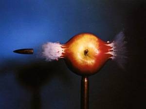 Bullet - © General Index
