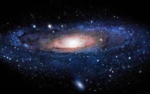 Cosmos - © General Index