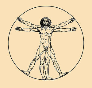 Da Vinci - © General Index