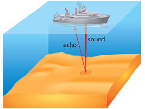 Echo - © General Index