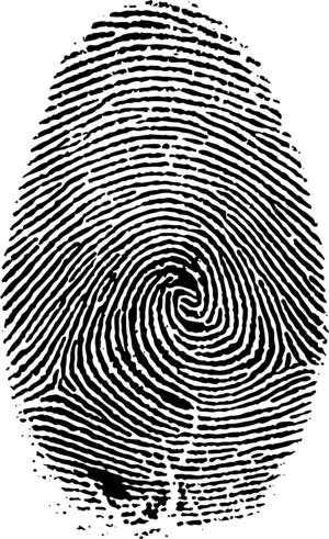 Fingerprint - © General Index