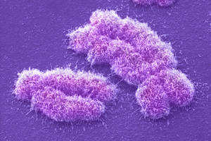 Mutation - © General Index