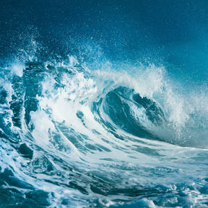 Ocean - © General Index