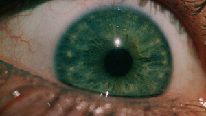 Pupil - © General Index