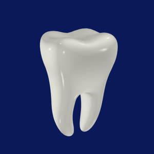 Tooth - © General Index