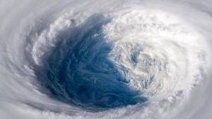 Vortex - © General Index